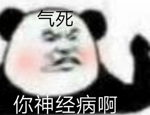 2022.4.07更新超逗超搞笑熊猫头表情包