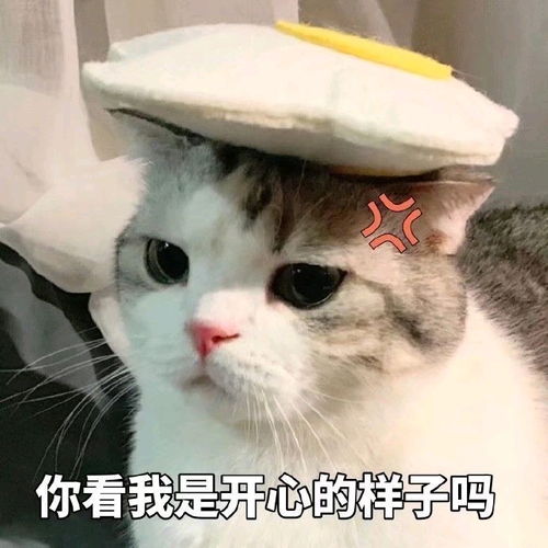 甜甜表情包