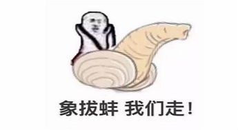 世上最奇葩海鲜大全,饭点别看看完你还想吃算我输