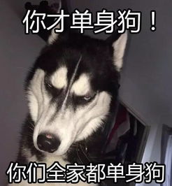 再上3天班武汉人集体放假but,这10个坏消息在等着你内含谭咏麟演唱会门票中奖名单
