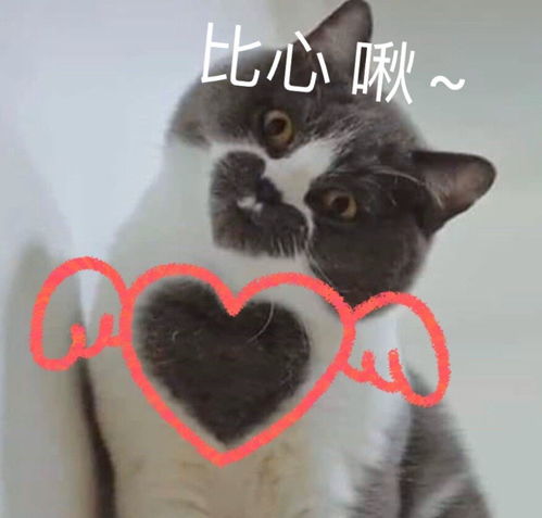云南蒸男友