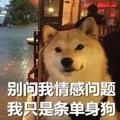 承包你全天微信消息的懒人表情包,再难缠的聊天局也能立马挣脱