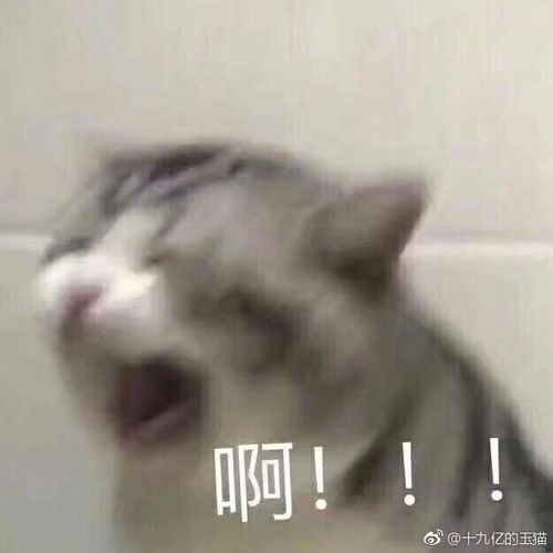 我的收藏夹