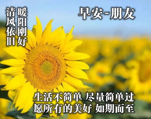 重阳节清晨早上好问候祝福动态表情图片早安问候语动态图片表情