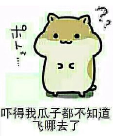 仓鼠吓的我瓜子都掉了表情包求