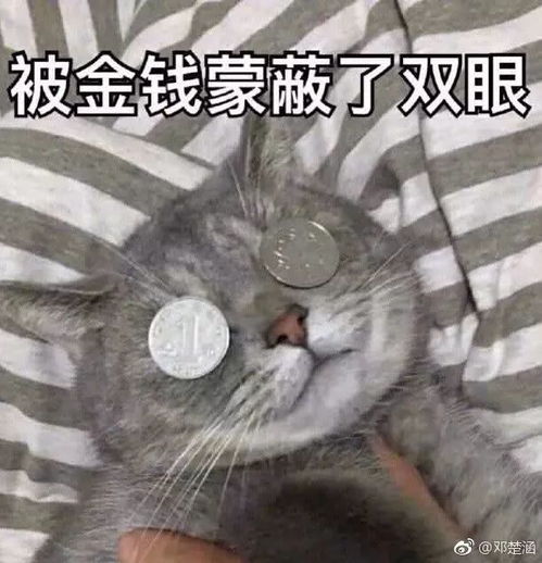配钥匙的表情包图片乐队