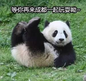刷爆朋友圈,观众全体起立致敬这部电影口碑炸裂,不是没道理