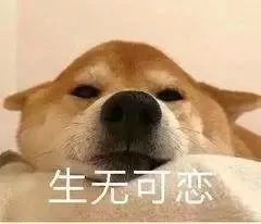 哈哈哈哈快来看看这则好消息