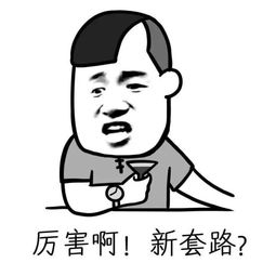 意境美图动物大海搞笑gif暴走漫画堆糖,美好生活研究所