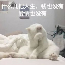 表情包你的人生肯定有着不可告人的秘密你给我等着,定会找你