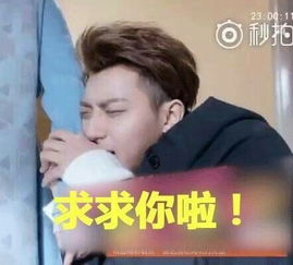 组图黄子韬承包新年笑点超实用的谢晓飞表情包请收好