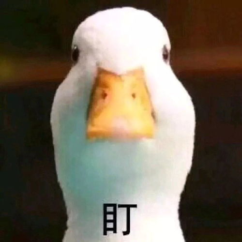年夜饭去哪儿吃看脸深圳新增589家a级餐饮