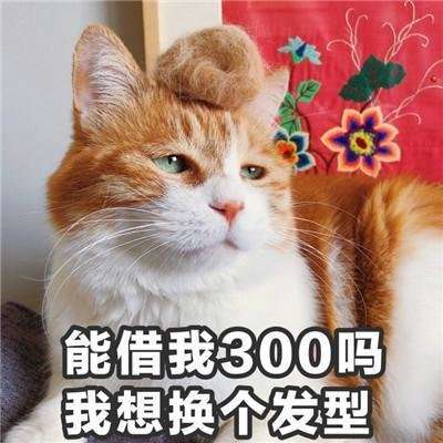 抖音小哥哥聊天吗表情包大全一言不合就开撩