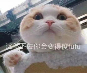 穿齐膝裙去逛街被男友知道后,他居然质问我,是不是想去约