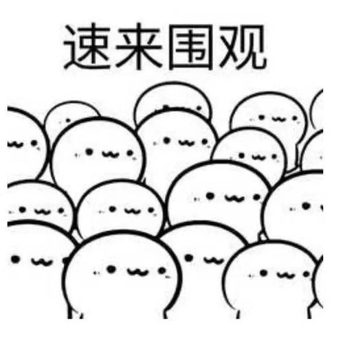 抓紧申报这些税收政策年底即将到期