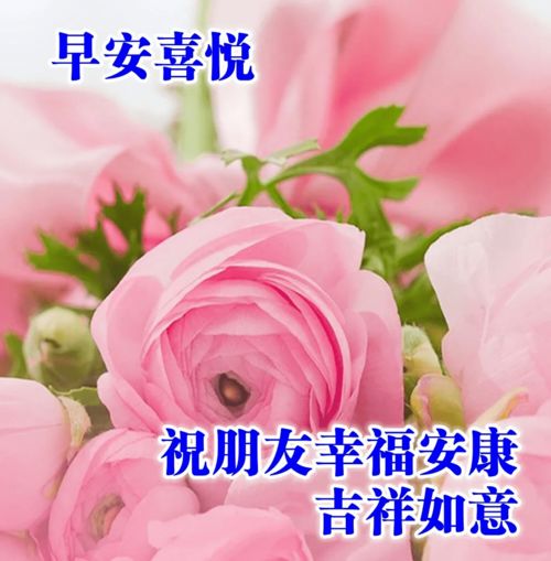 深秋早上好问候语唯美句子,2020早晨好问候图片表情合集