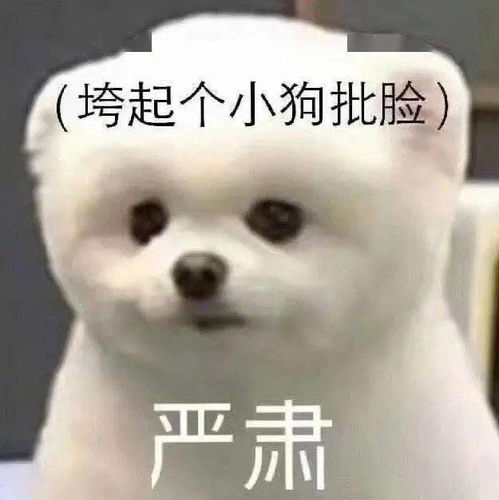 快递到了,各位新生请查收