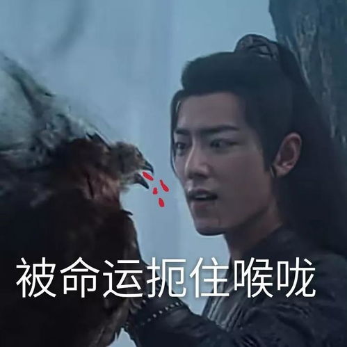 表情包陈情令蓝忘机x魏无羡
