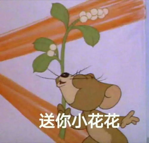hey我想和你相约在宿舍