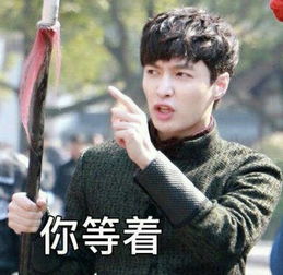 exo表情包lay张艺兴