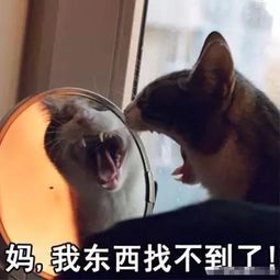 妈滚这是你妈最嫌弃你的时候