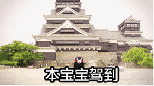 你的表情包成功地引起了我的注意