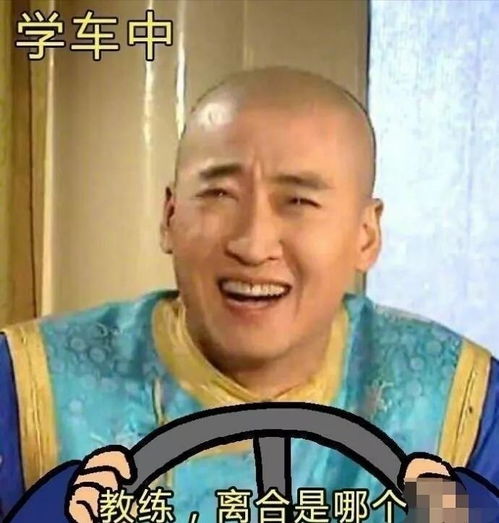 听说最近老编的科目二挂了