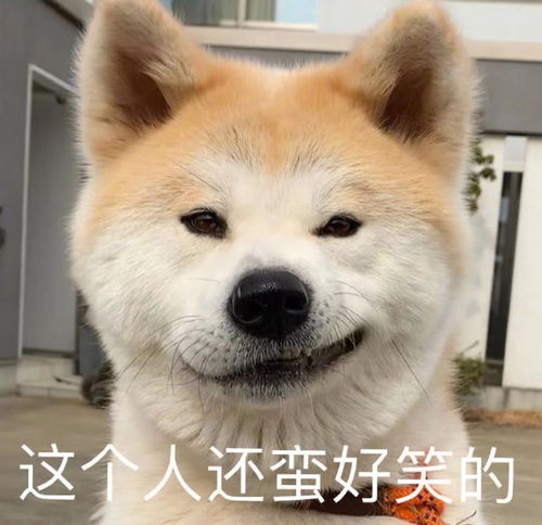 日常沙雕表情包这个人还蛮好笑的