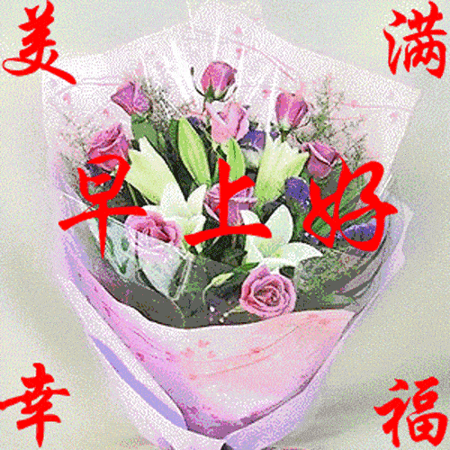 特漂亮的美女早安问候表情图片早上好发朋友圈动态祝福图片大全