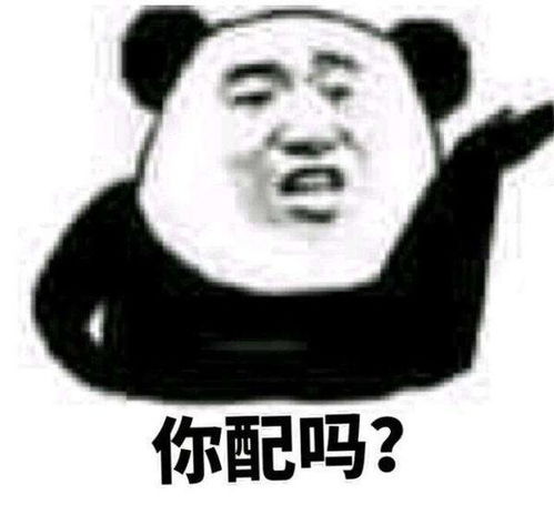 配钥匙的表情包图片不配