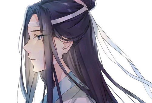 魔道祖师中的四句催泪台词,其中包含了太多的无奈