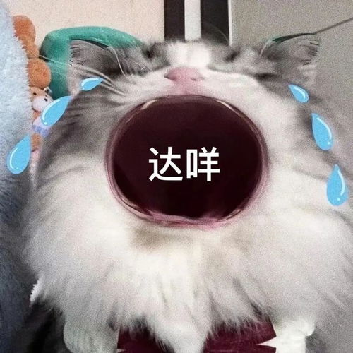 痣容易癌变的5个信号,快对着身上的痣自查下