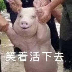 全球有一半的猪被国人吃掉但猪的这5个部位,为何很多人不吃