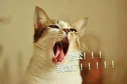 有了男朋友后你的日常