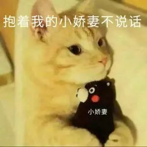 前任3好姑娘都是被宠出来的