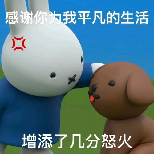 在这个家里,我是一个任何人都可以随意打骂的下等人