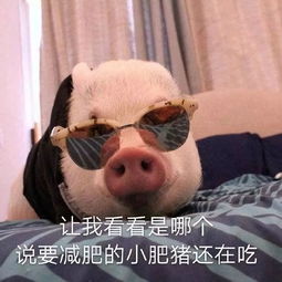 从喝水都肥到光吃不胖天然瘦,你也可以