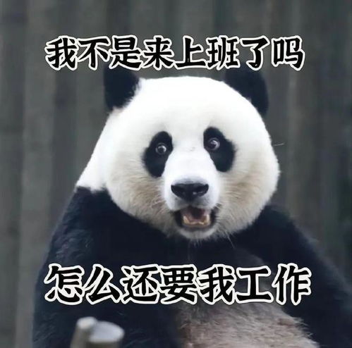 一组熊猫表情包