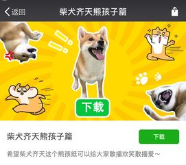 猫狗表情包微信公众号微信
