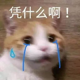 斗图表情包今天是最靓的仔