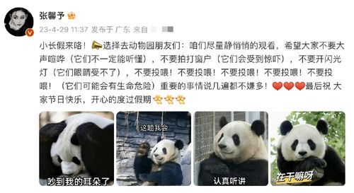 组图张馨予发博呼吁文明观赏大熊猫配表情包祝大家假期快乐