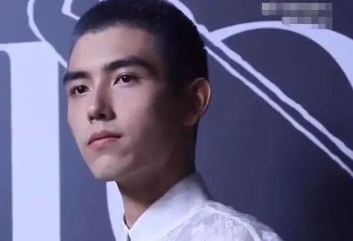 陈飞宇风波后首露红毯,剃寸头无表情眼迷离,评论区被杨洋刷屏