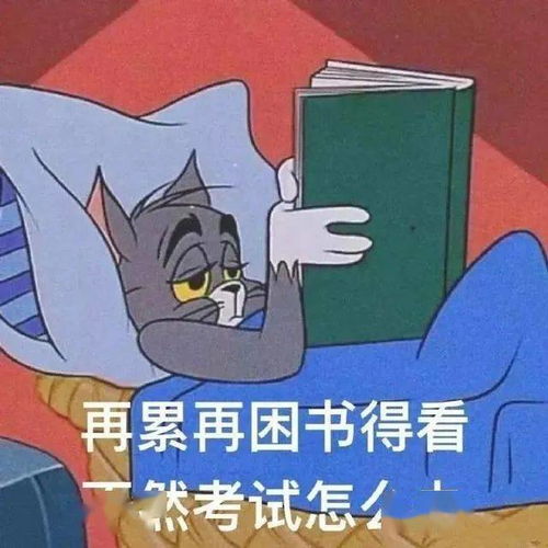 表情包动图听见了两只耳朵都听见了