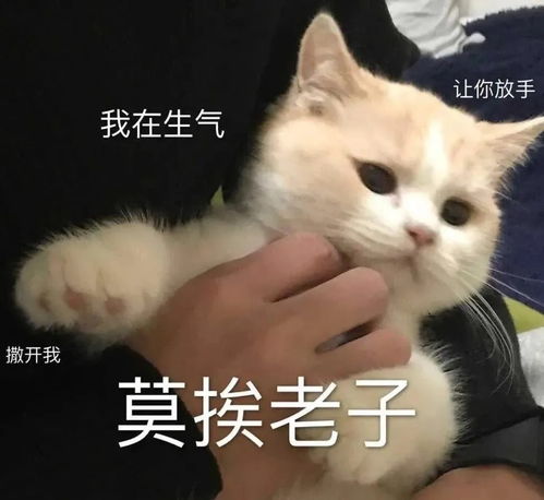 双眼迷离表情包图痒