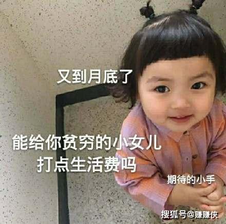 可爱搞笑的热门表情包图片