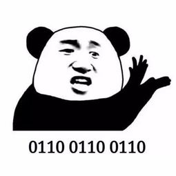 长沙高校15大专业表情包,看完都是泪腾讯网