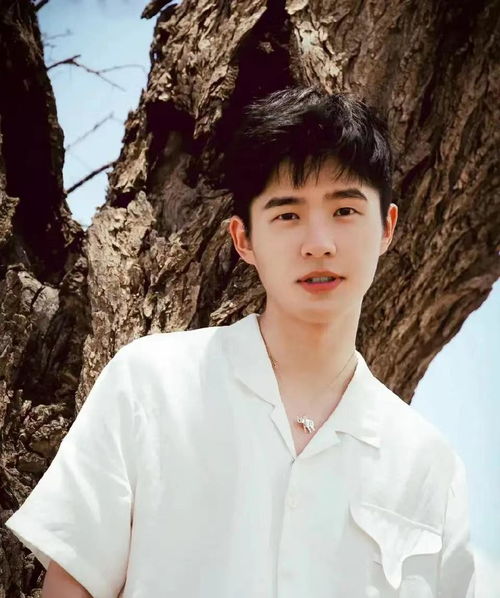 刘昊然近照大变样,脸部浮肿已无少年感,身材发福撞脸杜海涛
