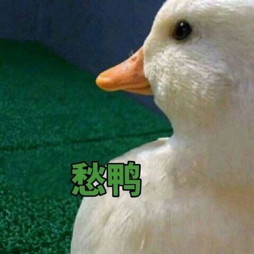 我决定专门给不熟批一个豆列
