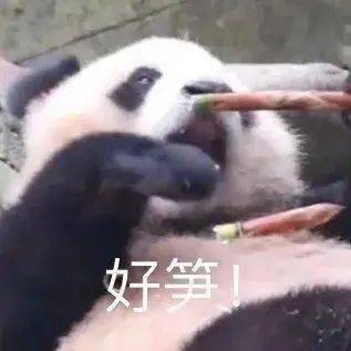 他这个玩笑,被骂惨了