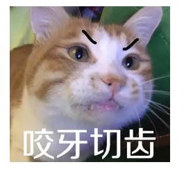 word天,你不会还在海淘代购吧,来这买进口商品白菜价